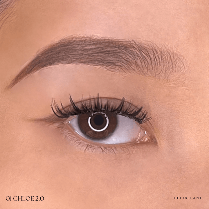 Magnetic Lash Kit - First Edition