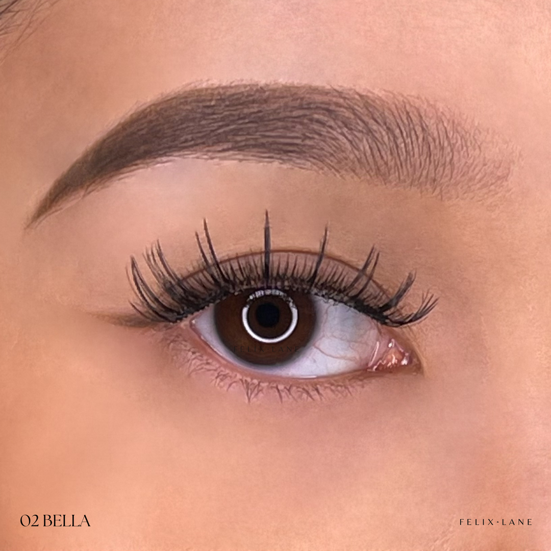 Magnetic Lash Kit - First Edition