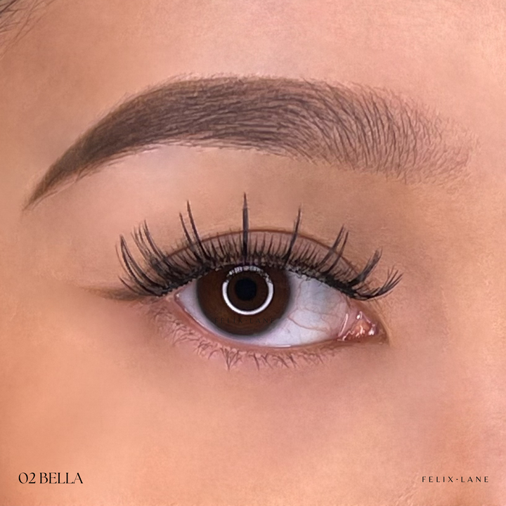 Magnetic Lash Kit - First Edition
