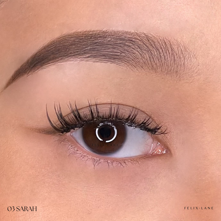 Magnetic Lash Kit - First Edition